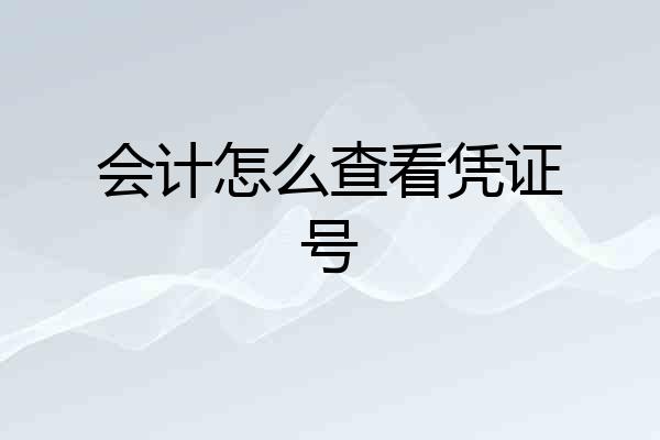 会计怎么查看凭证号