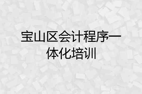 宝山区会计程序一体化培训
