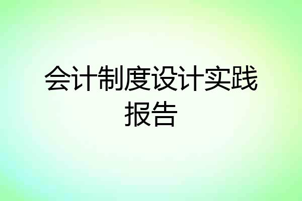 会计制度设计实践报告