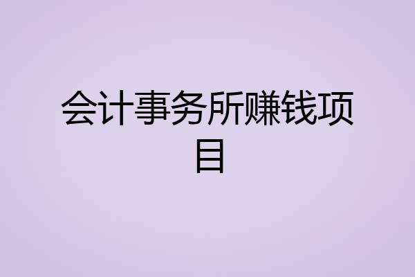 会计事务所赚钱项目