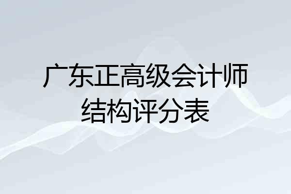 广东正高级会计师结构评分表