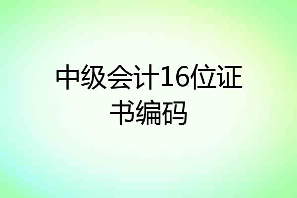 中级会计16位证书编码
