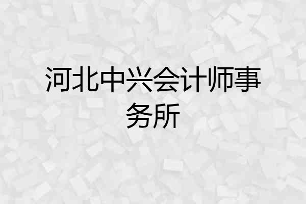 河北中兴会计师事务所