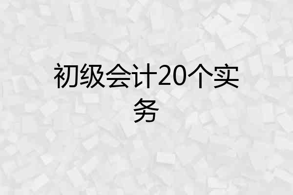 初级会计20个实务