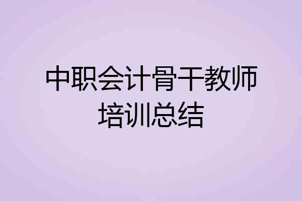 中职会计骨干教师培训总结