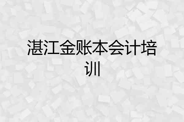 湛江金账本会计培训