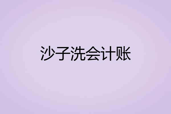 沙子洗会计账
