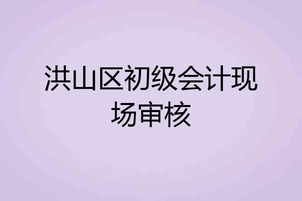 洪山区初级会计现场审核
