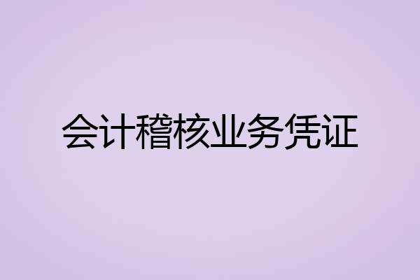会计稽核业务凭证