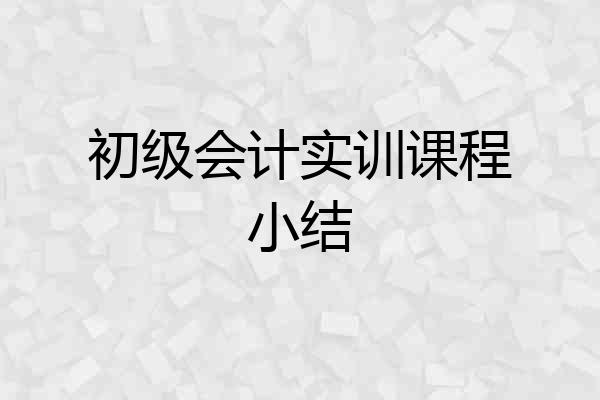 初级会计实训课程小结