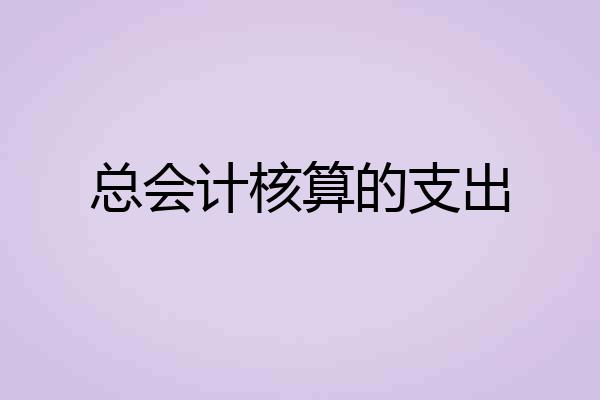总会计核算的支出