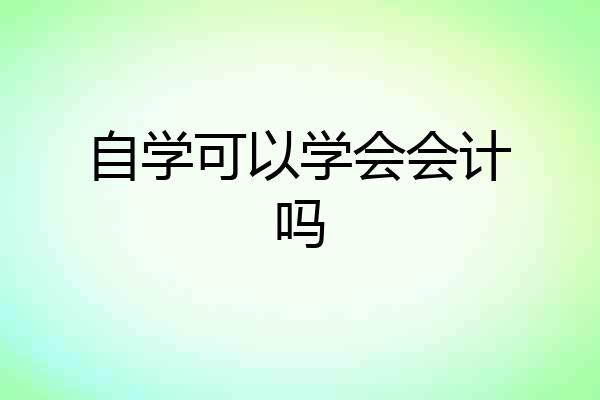 自学可以学会会计吗