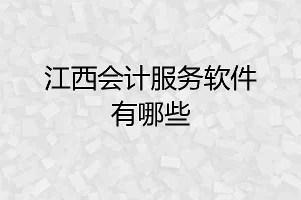 江西会计服务软件有哪些
