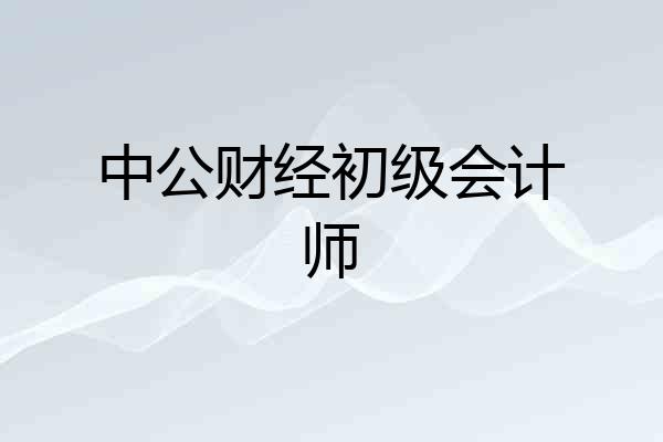 中公财经初级会计师