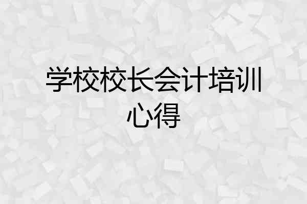 学校校长会计培训心得