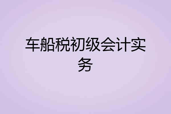 车船税初级会计实务