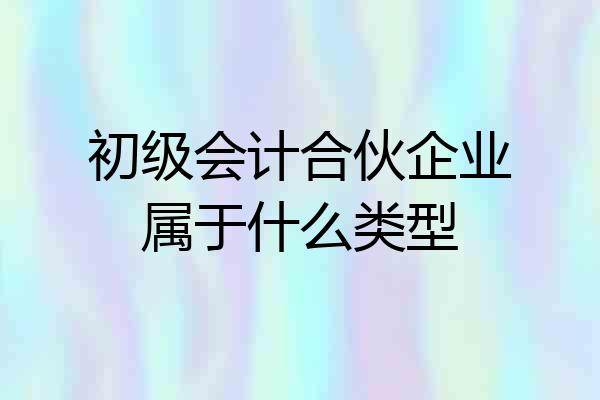 初级会计合伙企业属于什么类型