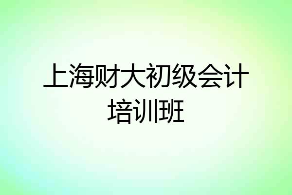 上海财大初级会计培训班