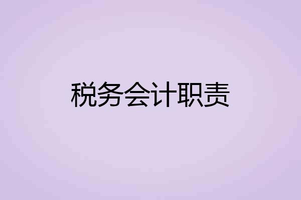 税务会计职责