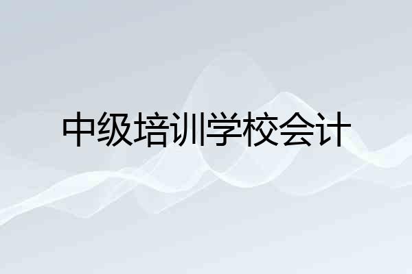 中级培训学校会计