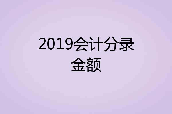2019会计分录金额