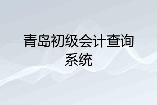 青岛初级会计查询系统