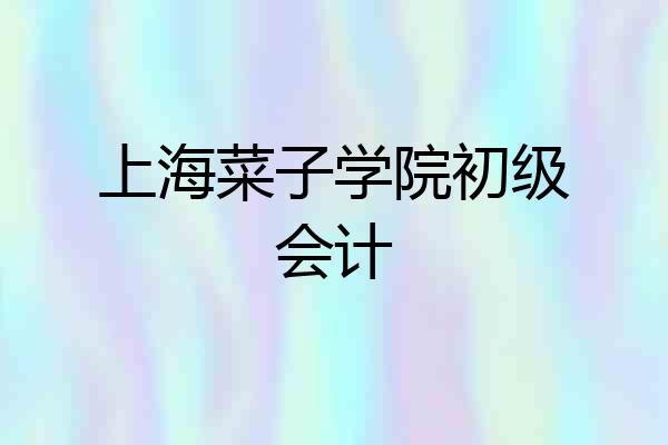 上海菜子学院初级会计