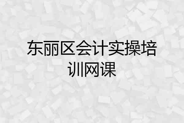 东丽区会计实操培训网课