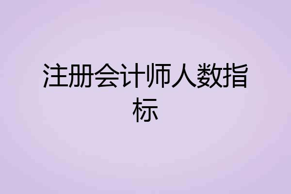 注册会计师人数指标