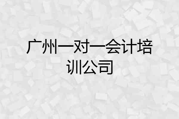 广州一对一会计培训公司