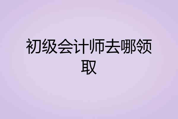 初级会计师去哪领取