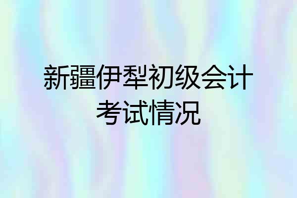 新疆伊犁初级会计考试情况