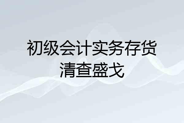 初级会计实务存货清查盛戈