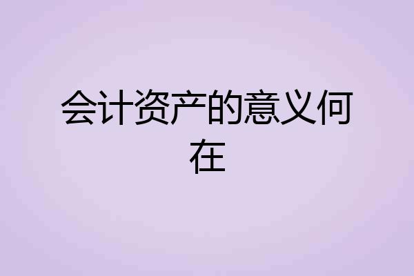 会计资产的意义何在
