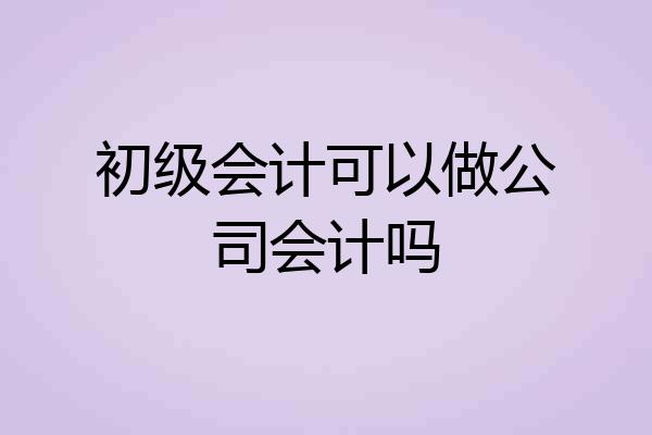 初级会计可以做公司会计吗