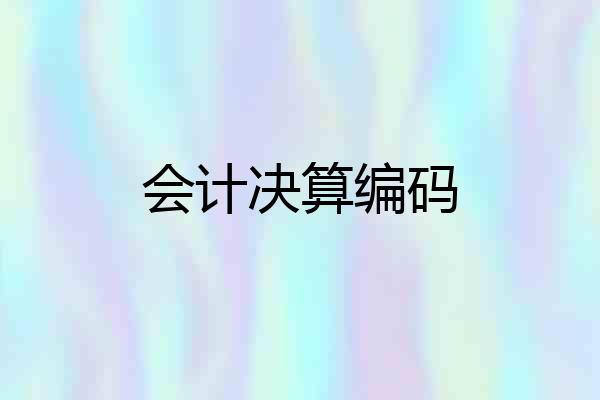 会计决算编码