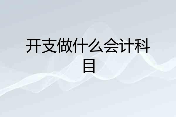 开支做什么会计科目