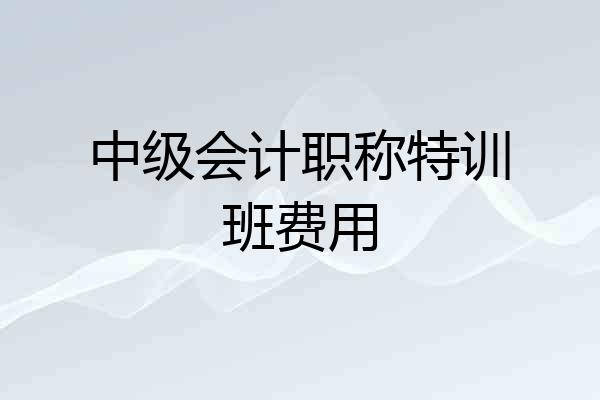 中级会计职称特训班费用