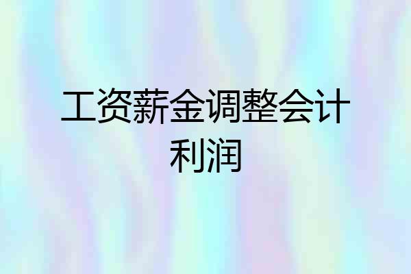 工资薪金调整会计利润