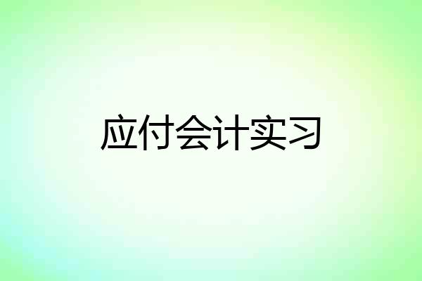 应付会计实习