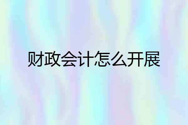 财政会计怎么开展
