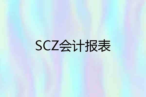 SCZ会计报表