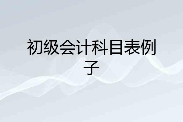 初级会计科目表例子
