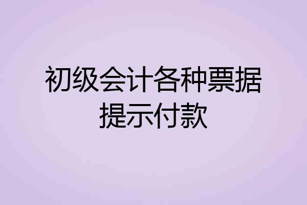 初级会计各种票据提示付款