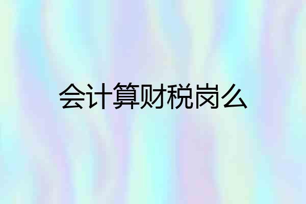 会计算财税岗么