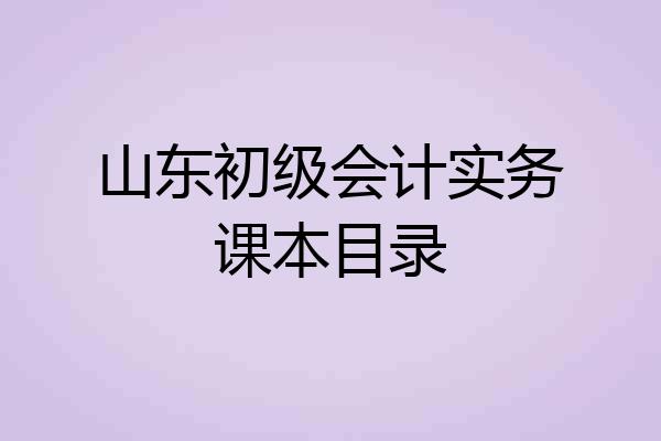 山东初级会计实务课本目录