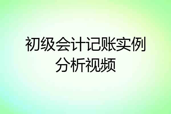 初级会计记账实例分析视频