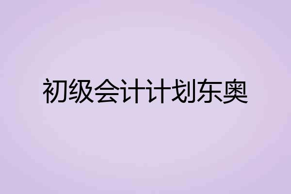 初级会计计划东奥