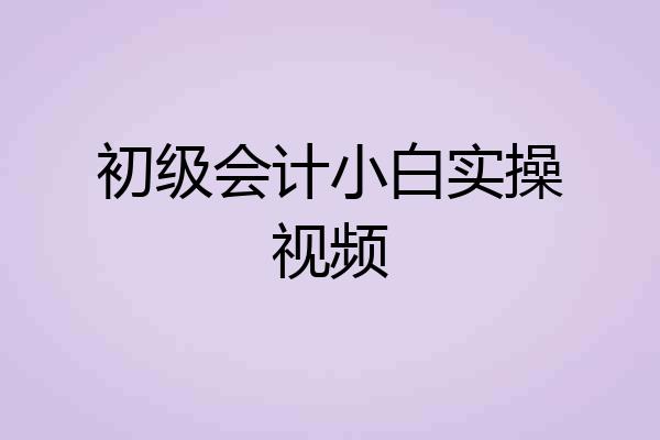 初级会计小白实操视频