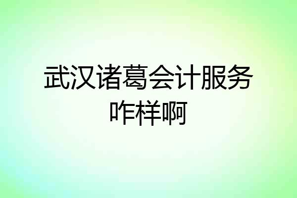 武汉诸葛会计服务咋样啊